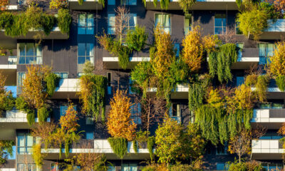 Vegetativni zid kao arhitektonski element