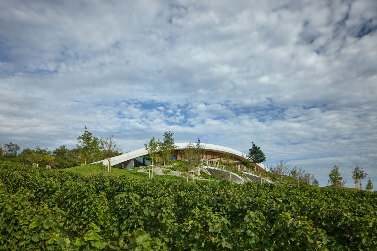 Vinarija Gurdau, integracija sa okolišem / photo:  BoysPlayNice