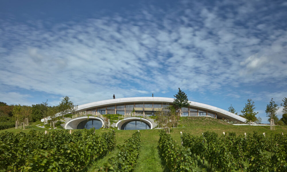 Vinarija Gurdau i vinograd / photo: BoysPlayNice
