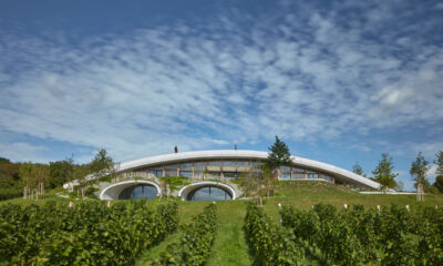 Vinarija Gurdau i vinograd / photo: BoysPlayNice