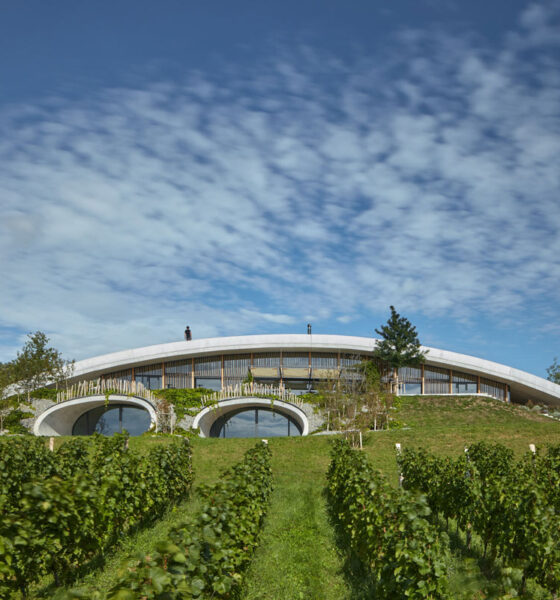 Vinarija Gurdau i vinograd / photo: BoysPlayNice