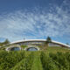 Vinarija Gurdau i vinograd / photo: BoysPlayNice