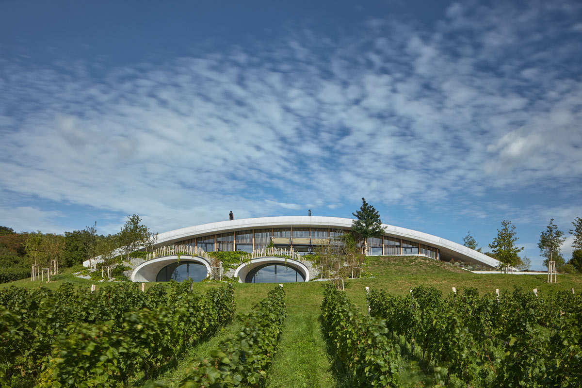 Vinarija Gurdau i vinograd / photo: BoysPlayNice