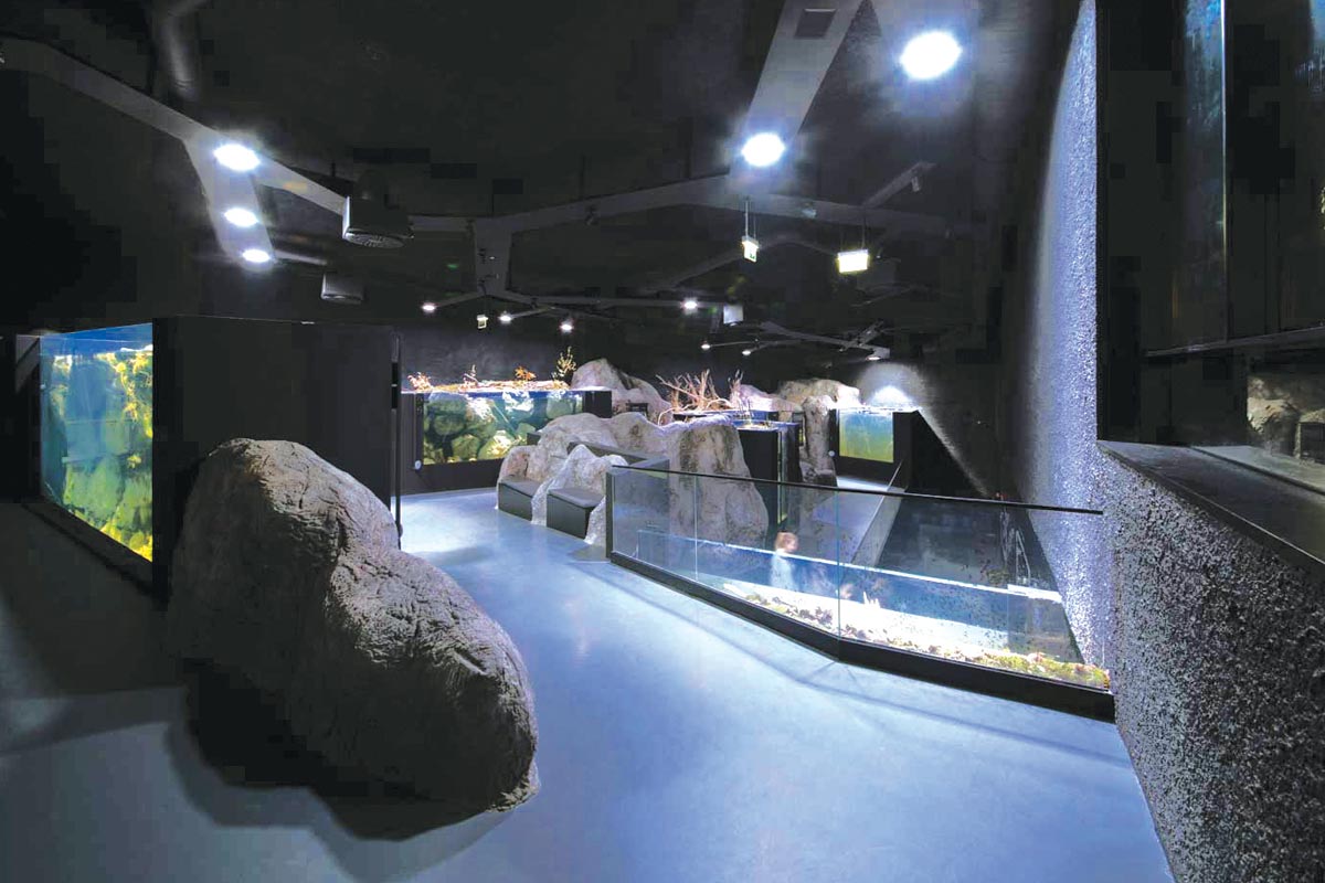 Karlovačka Aquatika, interijer / photo: Jure Živković