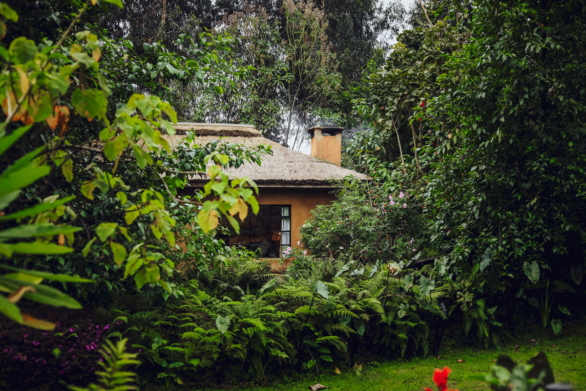 Šest odredišta koja predvode put prema odgovornijem putovanju 10 Sambora Kinigi Lodge / photo: booking.com