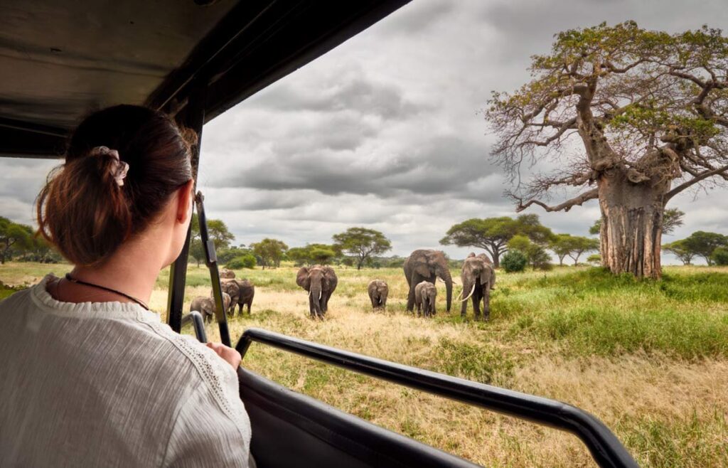 Što lokalni stanovnici žele: Vodič Booking.com-a za održivije navike na putovanjima 4 Obilazak safarija sa divljim životinjama / photo: Booking.com
